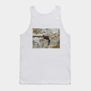 California Ground Squirrel-dom Tank Top